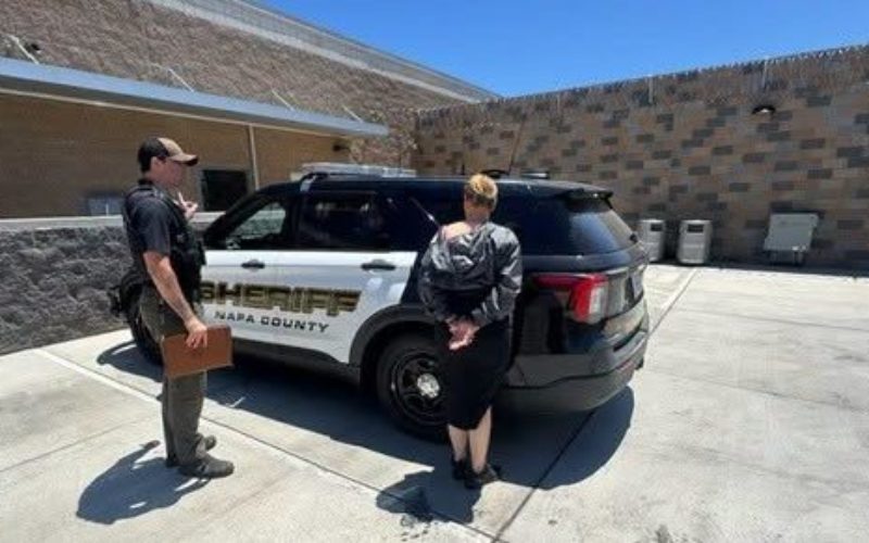 Detectives Use Flock Cameras to Track Storage Burglary Suspect; Vallejo Woman Arrested