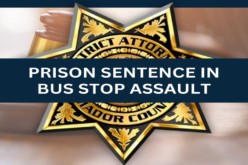 Jackson Man Sentenced to Three Years in Prison for Park Battery Conviction