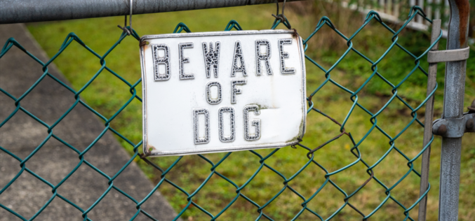 Alturas Police Investigating Serious Dog Attack