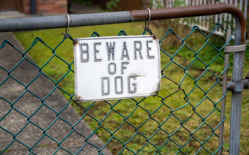 Alturas Police Investigating Serious Dog Attack