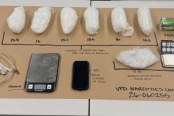Search Warrant in Visalia Leads to Discovery of Illegal Drug Lab & Chop Shop