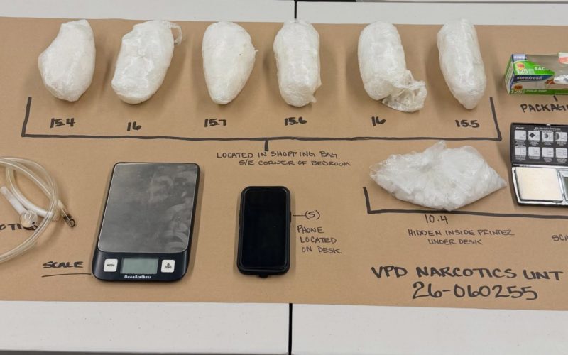 Search Warrant in Visalia Leads to Discovery of Illegal Drug Lab & Chop Shop