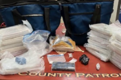Winterhaven Traffic Stop Leads to Major Controlled Substances Seizure