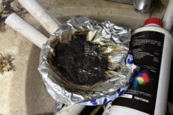 Joint Operation Targeting Illegal Cannabis Operations Yields 21 Search Warrants and Nine Arrests in Nevada County