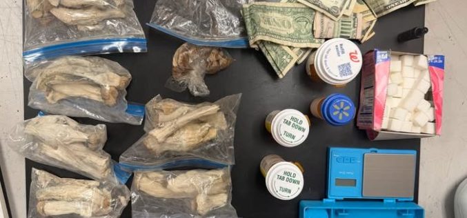 Suspicious Vehicle Encounter in Plumas Bank Parking Lot Leads to Significant Drug Bust