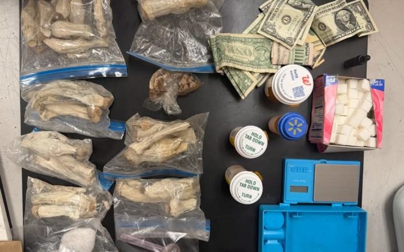 Suspicious Vehicle Encounter in Plumas Bank Parking Lot Leads to Significant Drug Bust