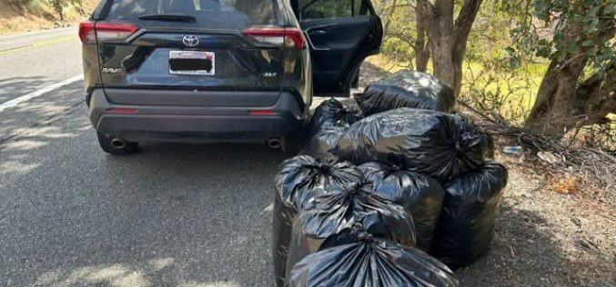 California Highway Patrol Seizes Nearly 500 Pounds of Marijuana in Traffic Stop