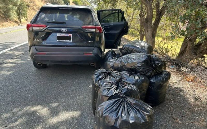 California Highway Patrol Seizes Nearly 500 Pounds of Marijuana in Traffic Stop