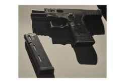 Fresno Police Arrest Individual for Allegedly Firing Gun into Air at Backyard Party