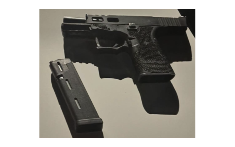 Fresno Police Arrest Individual for Allegedly Firing Gun into Air at Backyard Party