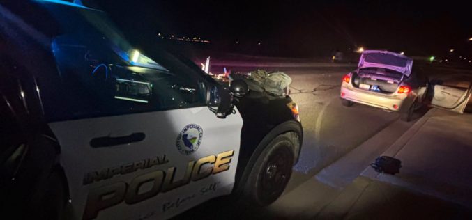 El Centro K-9 Unit Assists Imperial Police in Drug Arrest