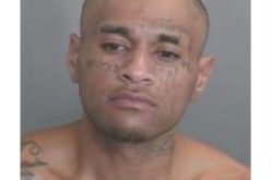 Anaheim Police Arrest Suspect in La Reina Market Commercial Burglary Case