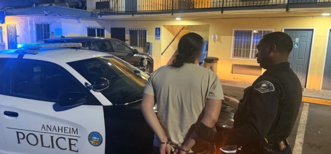 Multi-Agency Task Force Arrests Ten in Anaheim Prostitution Enforcement Operation