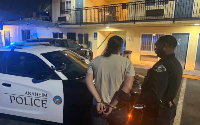 Multi-Agency Task Force Arrests Ten in Anaheim Prostitution Enforcement Operation