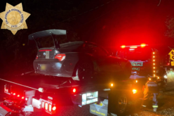 Unlicensed Driver Stopped for Reckless Driving on Highway 9