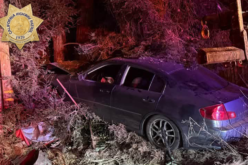 California Highway Patrol Officers Arrest Three for DUI During Overnight Shifts