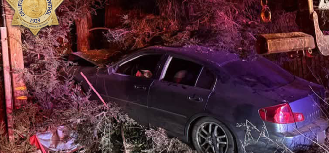 California Highway Patrol Officers Arrest Three for DUI During Overnight Shifts