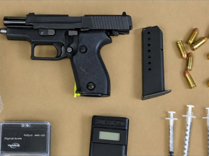 Gun, ammo, needles, scale