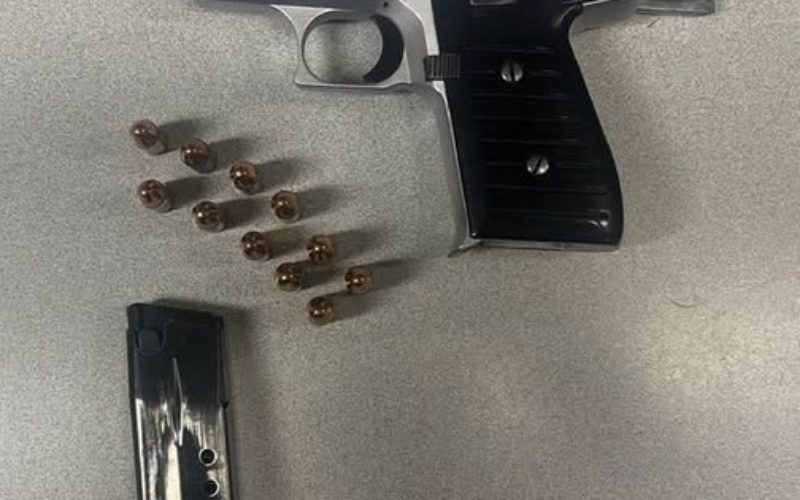 Driver Arrested During a Traffic Stop Faces Firearms Charges