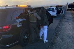 ALPR Technology and Multi-Agency Coordination Lead to Arrest of Stolen Vehicle Suspect