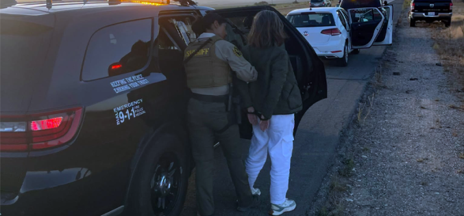 ALPR Technology and Multi-Agency Coordination Lead to Arrest of Stolen Vehicle Suspect