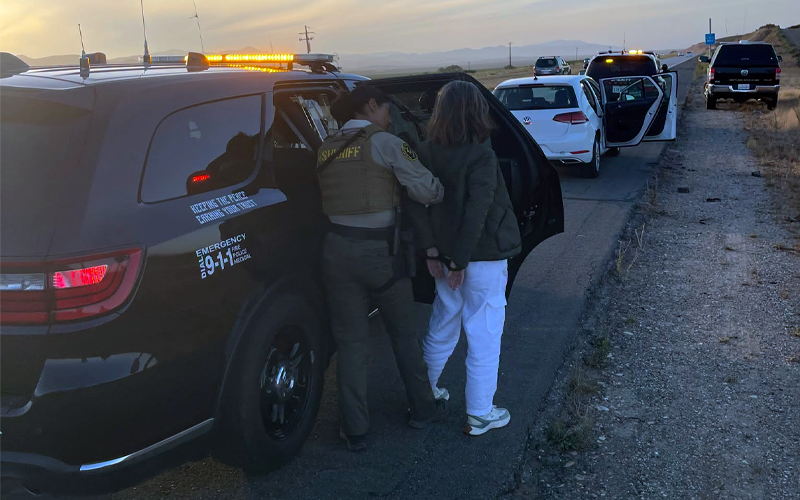 ALPR Technology and Multi-Agency Coordination Lead to Arrest of Stolen Vehicle Suspect