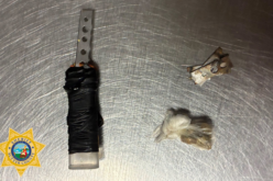 Correctional Officers Seize Contraband During Sutter County Jail Inspection