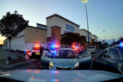 ALPR Notification Leads to Stolen Vehicle Recovery and Shoplifting Arrest in Red Bluff