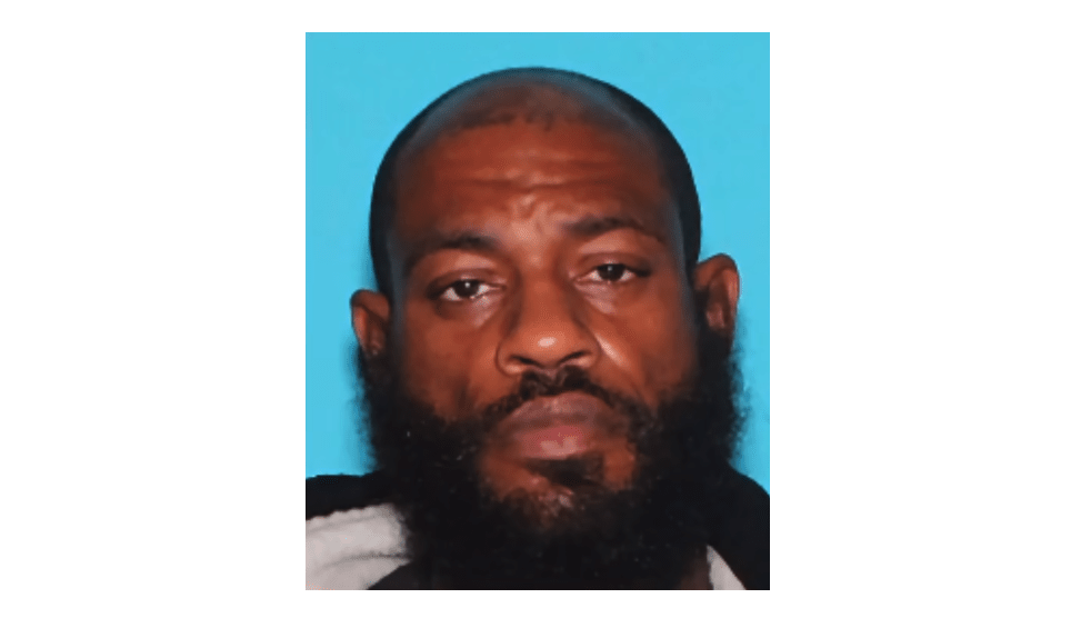 Assault News Image