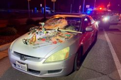 Woodland Police K-9 Unit Intercepts Suspects in Community Center Copper Theft Investigation