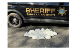 Enforcement Stop on Interstate 5 Near O’Brien Road: 40 Pounds of Meth Discovered