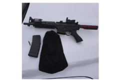 Solano County Deputies Chase Stolen Vehicle, Find Suspect Hiding in Blackberry Bush