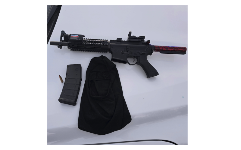 Solano County Deputies Chase Stolen Vehicle, Find Suspect Hiding in Blackberry Bush