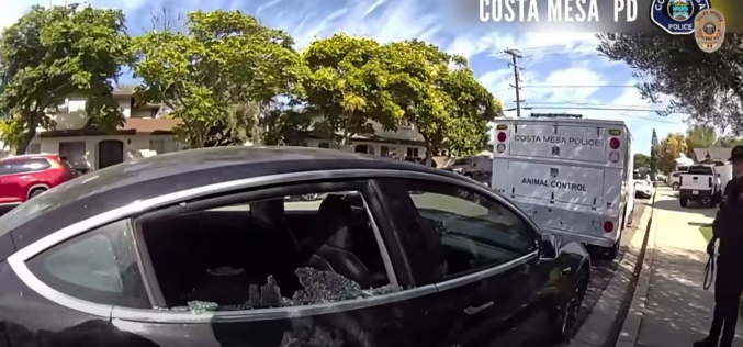 Costa Mesa Officers Rescue Dog Left in 100-Degree Vehicle