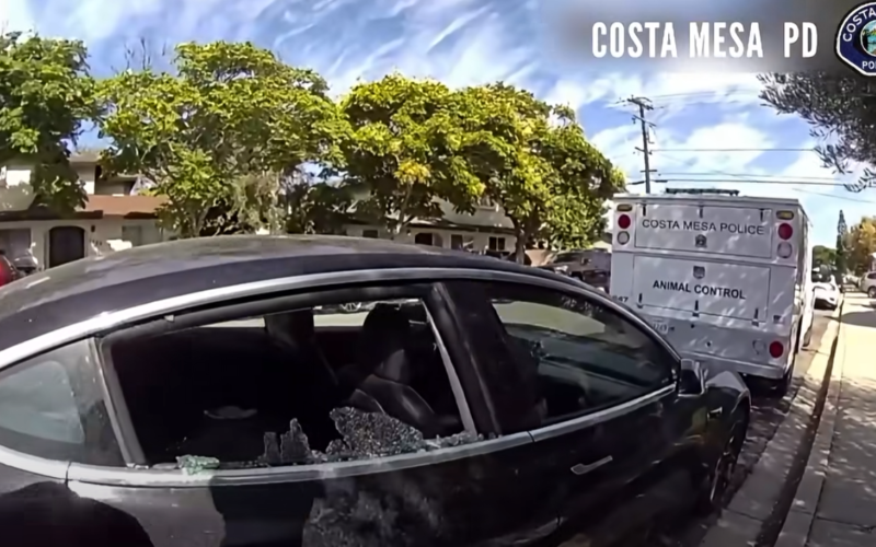 Costa Mesa Officers Rescue Dog Left in 100-Degree Vehicle