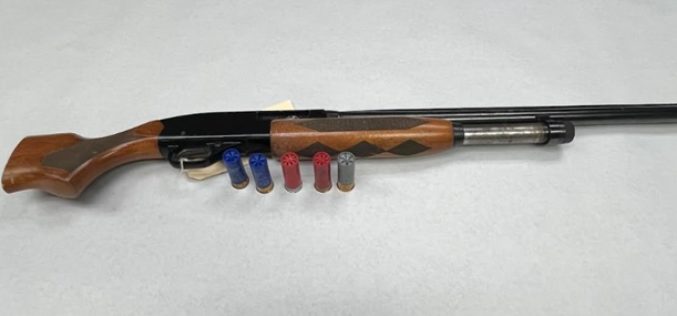 Firearm Investigation Leads to One Arrest