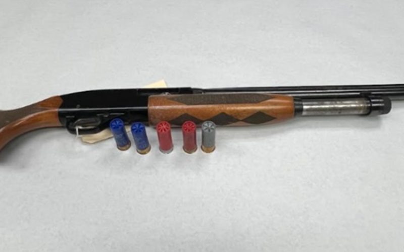 Firearm Investigation Leads to One Arrest