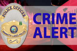 Stabbing Suspect Arrested in Mono County After License Plate Reader Alert