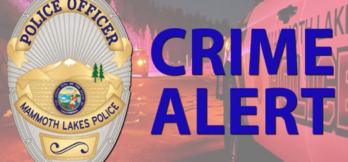 Stabbing Suspect Arrested in Mono County After License Plate Reader Alert