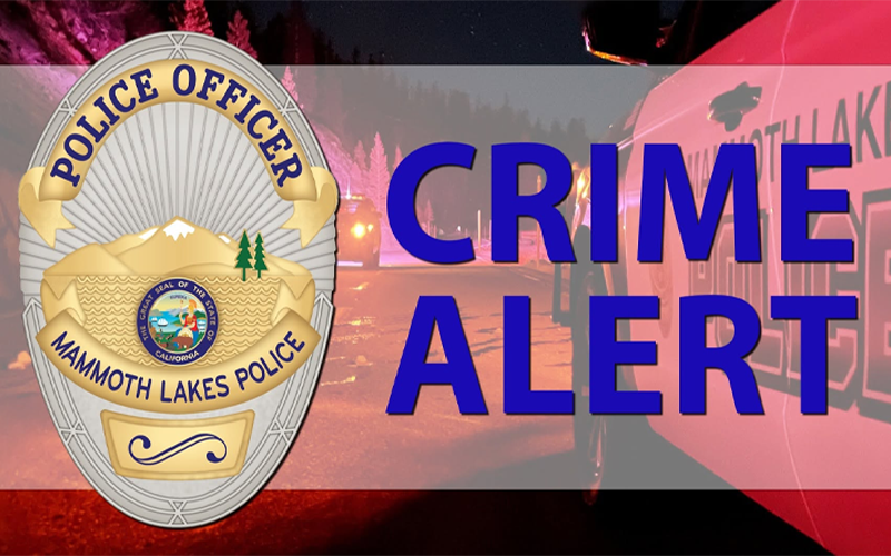 Stabbing Suspect Arrested in Mono County After License Plate Reader Alert