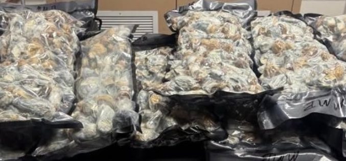 Probationer Arrested for Possession of Steroids and Psilocybin Mushrooms for Sale