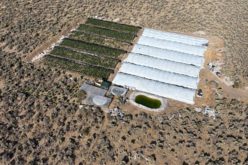 Massive Multi-Agency Operation Targeting Illegal Commercial Marijuana Operations Eradicates over 150,000 Illicit Cannabis Plants