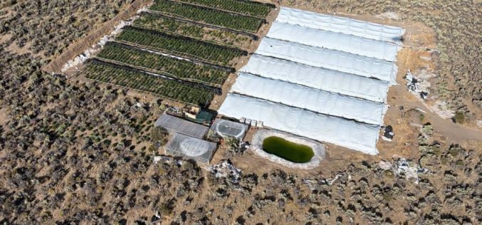 Massive Multi-Agency Operation Targeting Illegal Commercial Marijuana Operations Eradicates over 150,000 Illicit Cannabis Plants