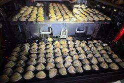 Three Arrested, 494 Clams Recovered in Late-Night Poaching Investigation