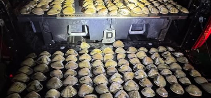 Three Arrested, 494 Clams Recovered in Late-Night Poaching Investigation