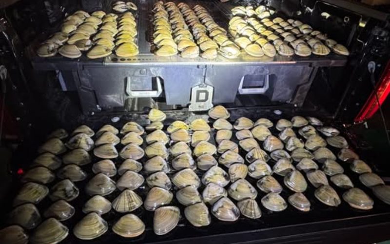 Three Arrested, 494 Clams Recovered in Late-Night Poaching Investigation