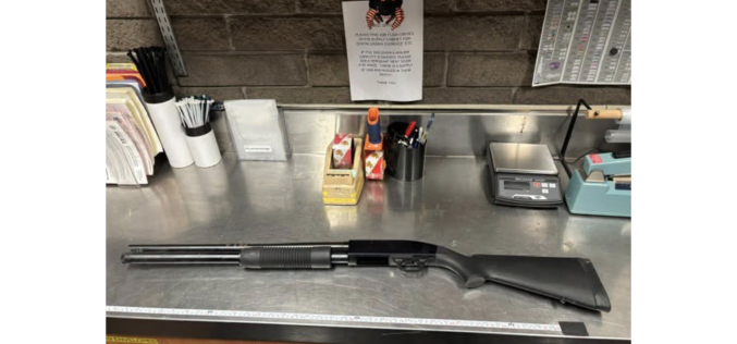 Santa Rosa Police Reportedly Seize Unregistered Shotgun During Service Call