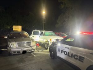 image from scene 2 - courtesy of cypress pd