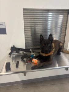 k9 officer and firearm evidence - courtesy of el centro police