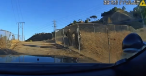 still image from in car camera - courtesy of colton pd